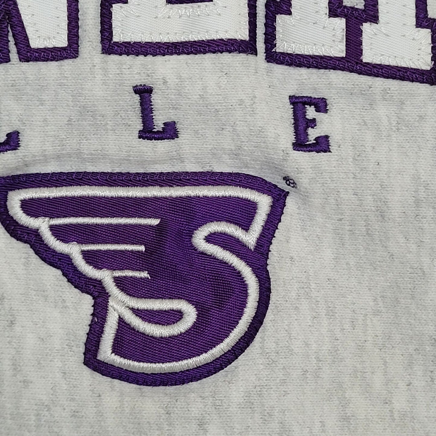 Vintage Stonehill College Sweatshirt Small 19x24 Gray