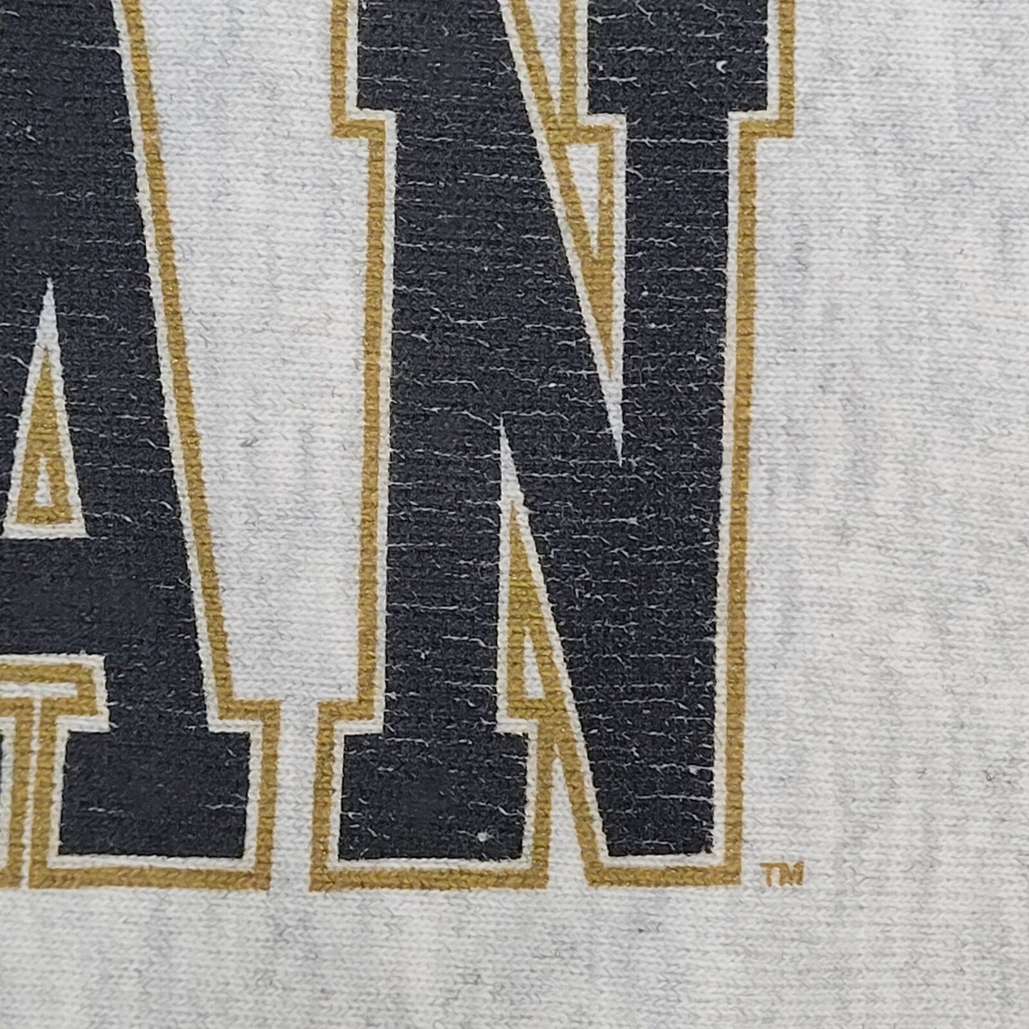 Vintage Western Michigan Sweatshirt Large 23x26 Gray Arch