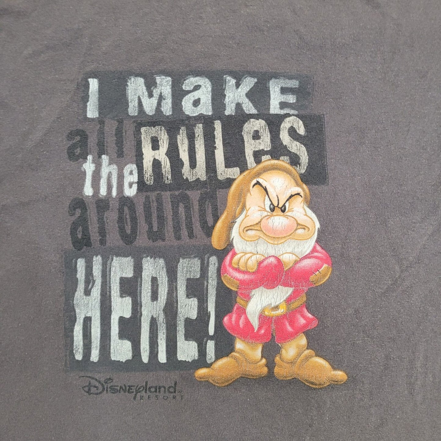 Disney Grumpy Shirt 2XL 26x28 Faded Gray