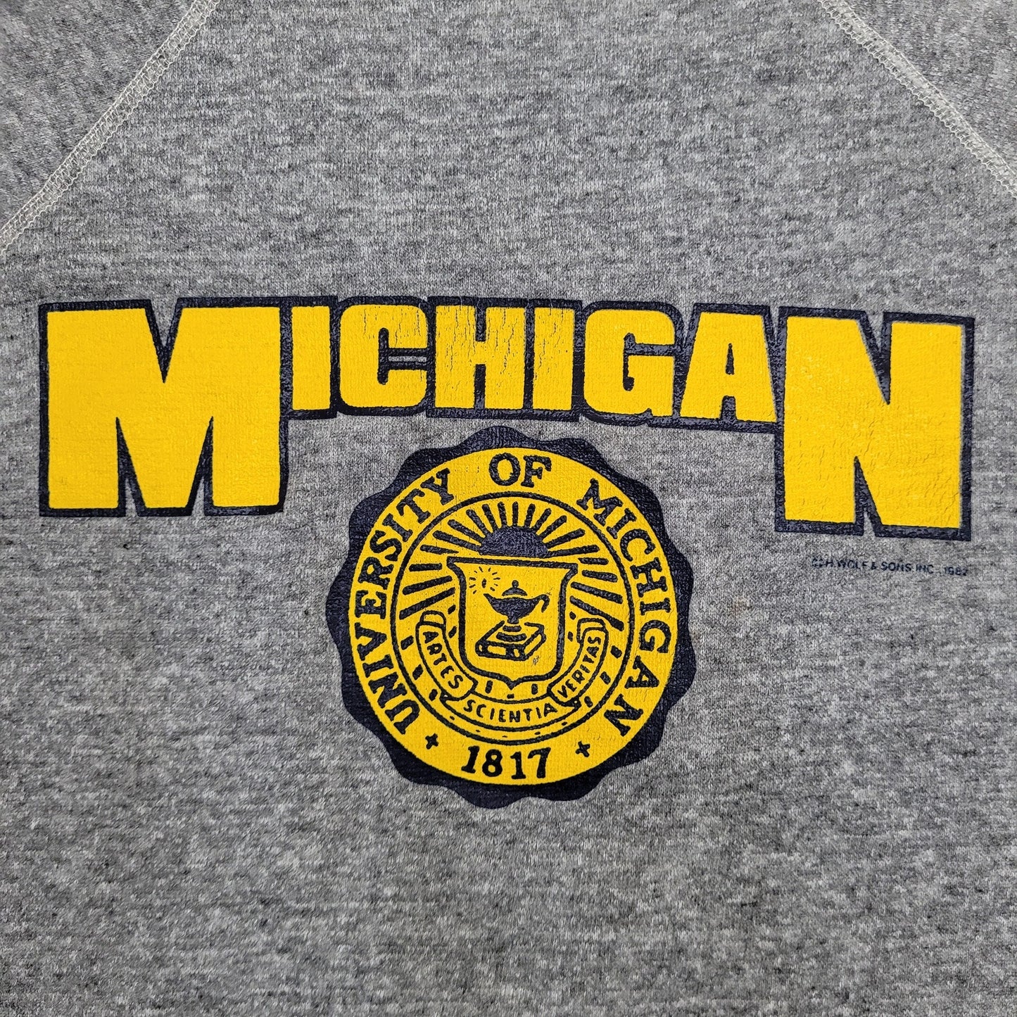 Vintage University-of Michigan Sweatshirt Medium 21x25 Gray