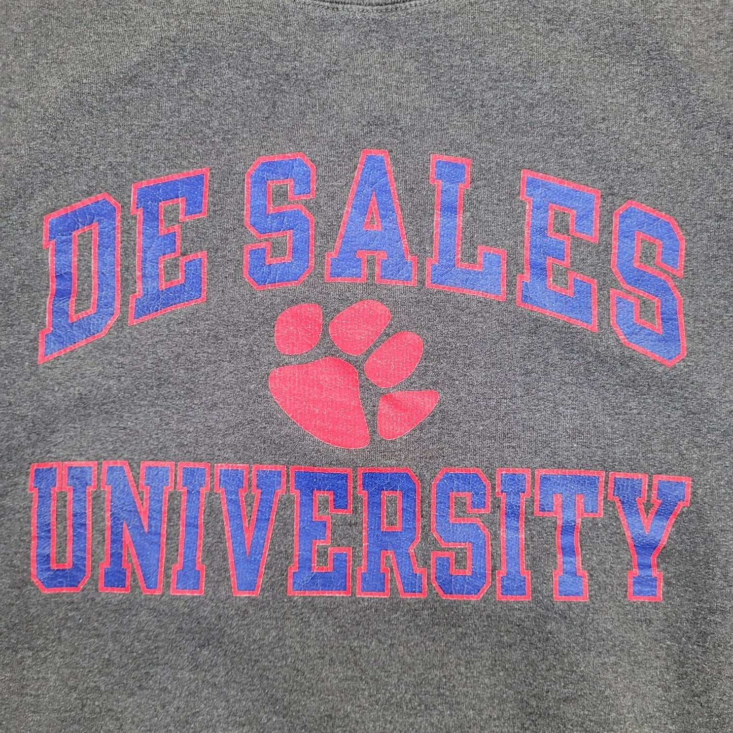 Champion De-Sales University Sweatshirt Small 20x22 Gray