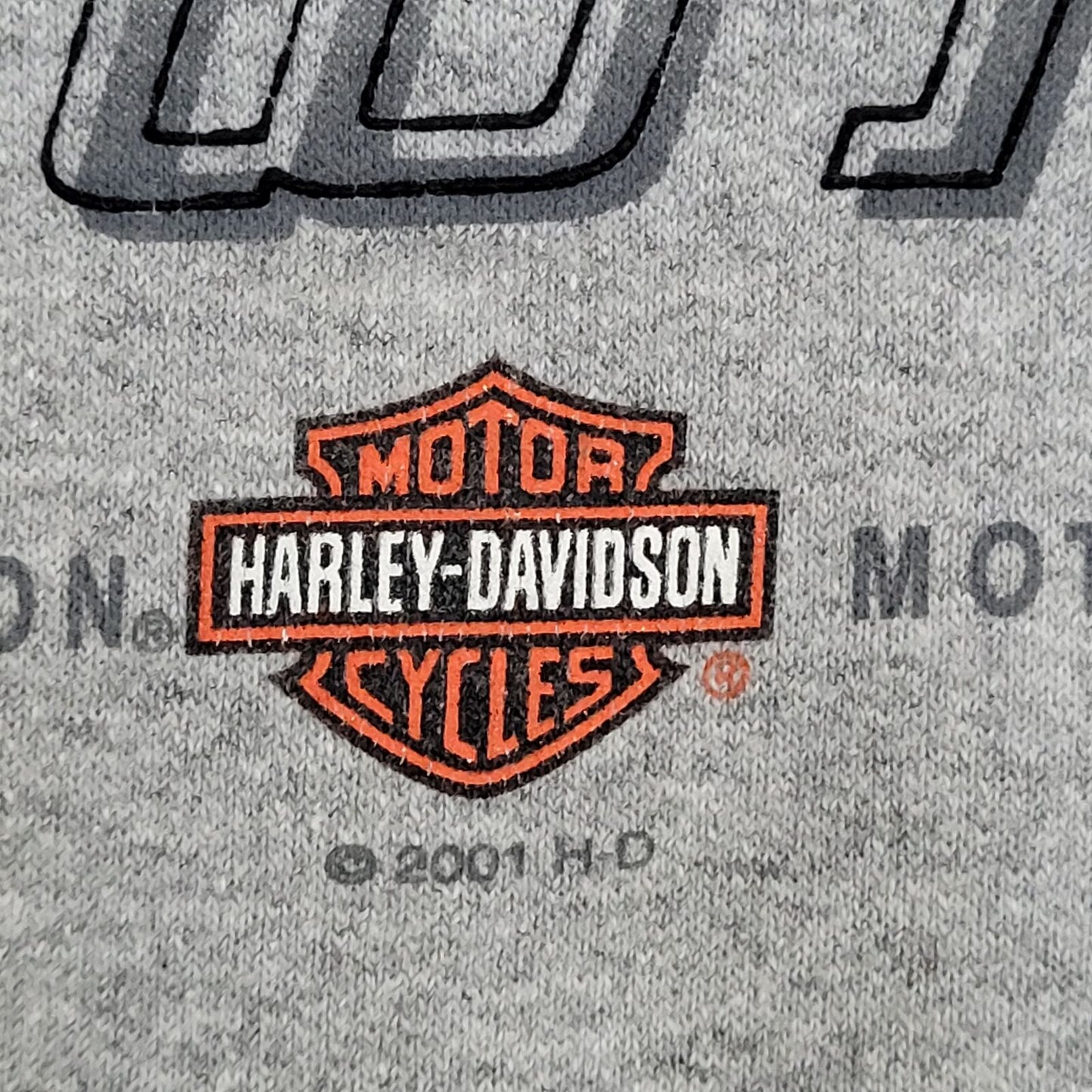 Vintage St-Paul Harley-Davidson Sweatshirt Medium 20x27 Gray