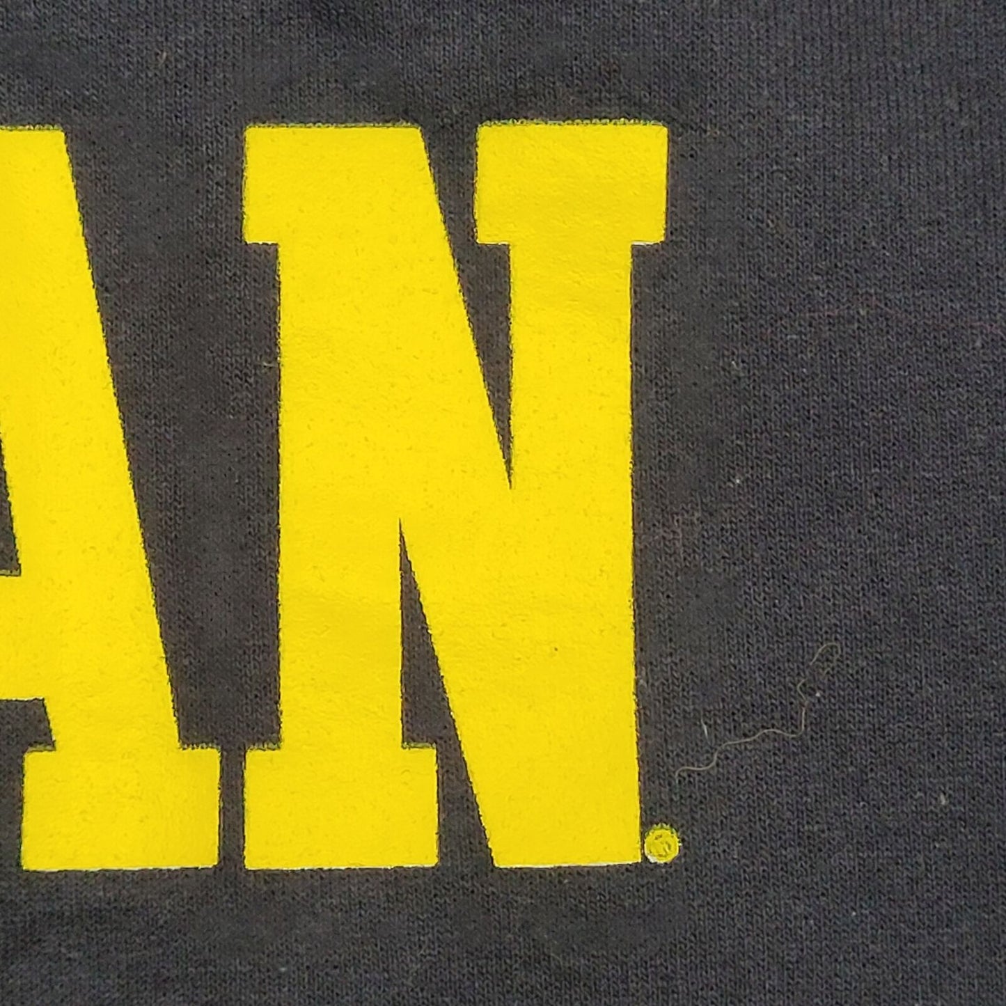 Champion Michigan Wolverines Sweatshirt S-Short 20x23