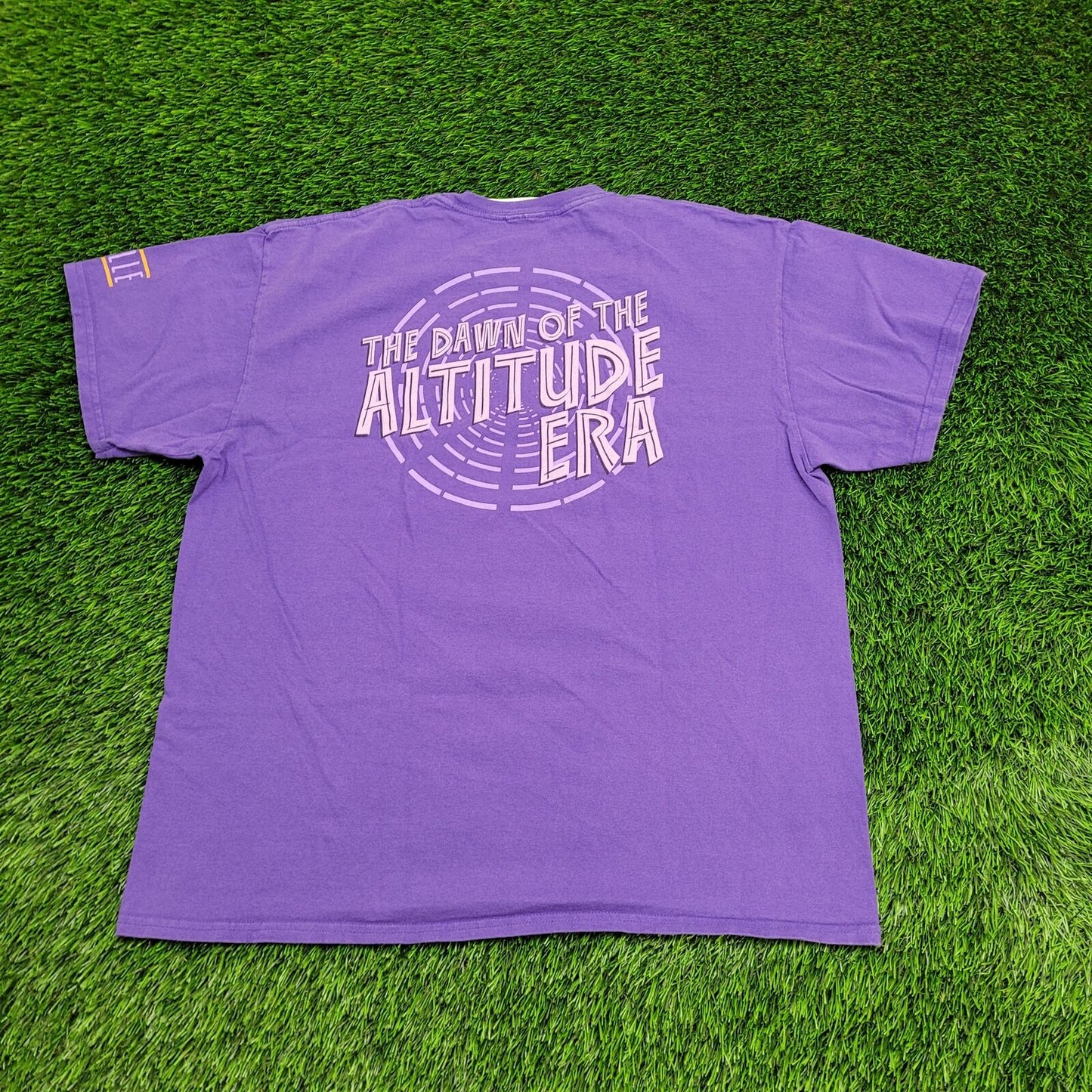 WWE Shirt XL 23x27 Purple