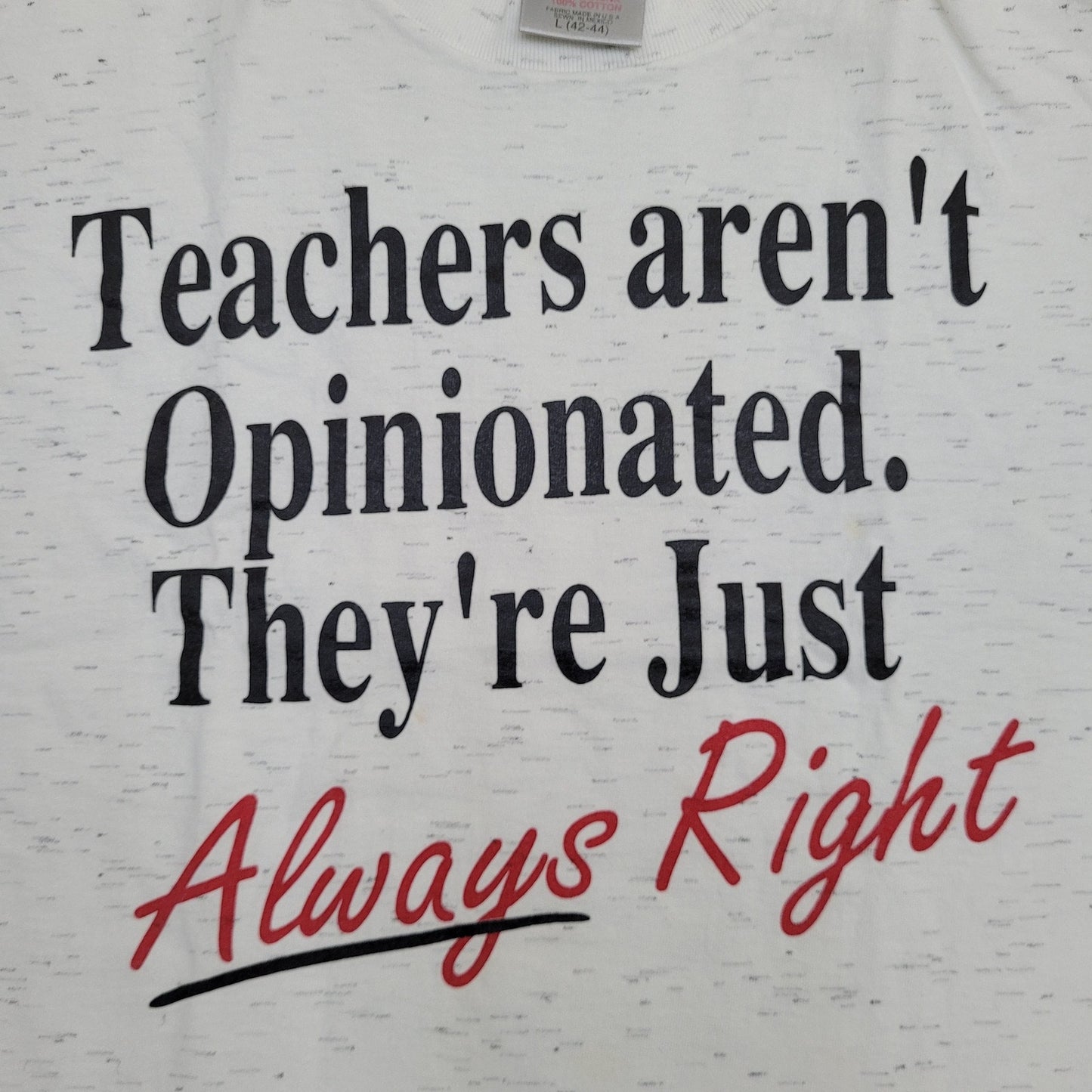 Vintage Teacher Appreciation Shirt Womens Large 21x25 Gray