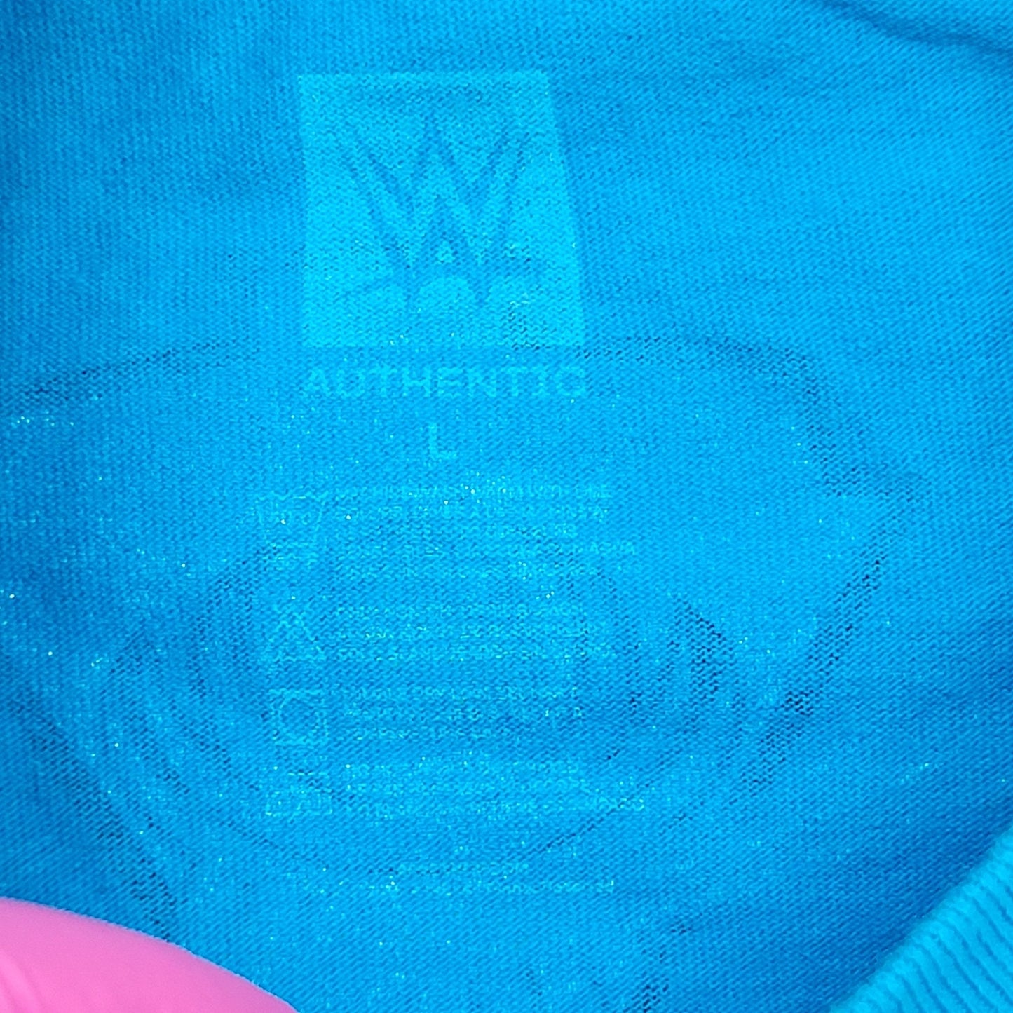 WWE Shirt Large 21x29 Blue